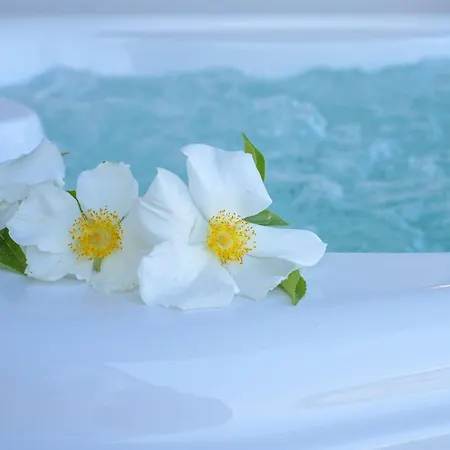 Daire Apartma Bellavista