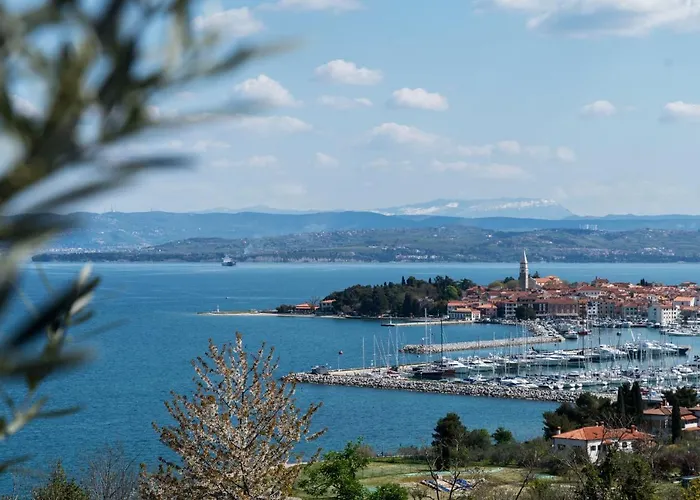 Apartma Bellavista Izola