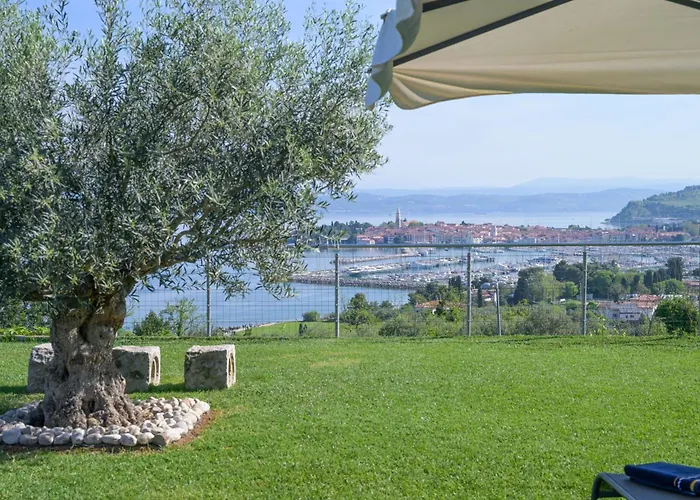 Apartment Apartma Bellavista *