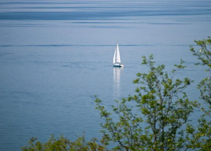 Apartma Bellavista アパート *